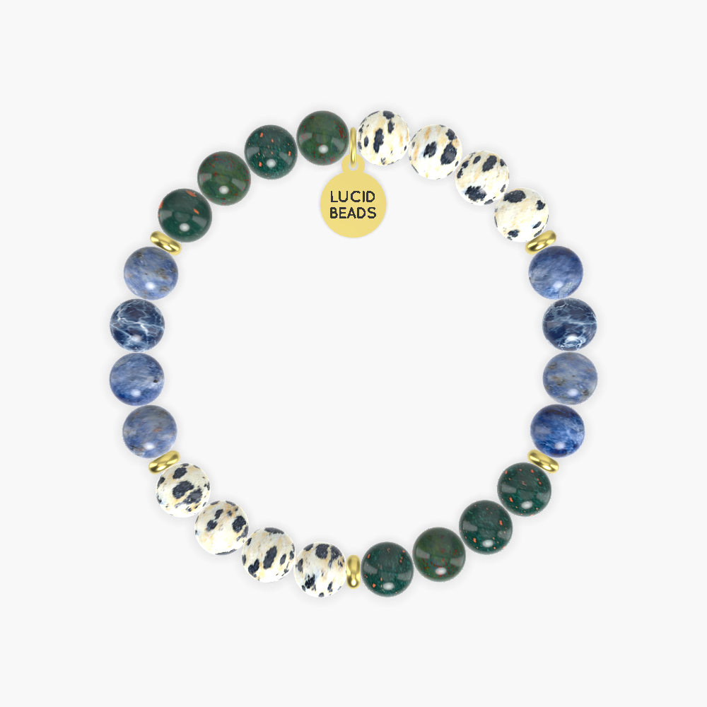 Bloodstone, Sodalite and Dalmatian Jasper Bracelet